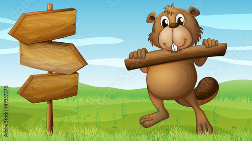 A beaver in the hills with a piece of wood