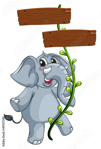 A gray elephant and the vine plant with signboard