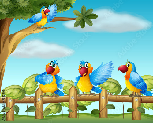 Colorful parrots at the fenced garden