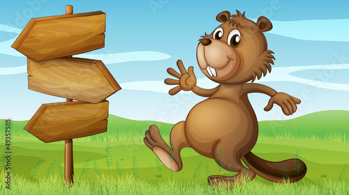 A beaver in the hills near the wooden signboard