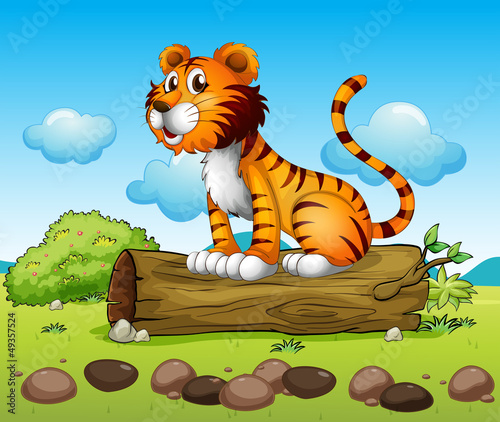 A tiger and the trunk of a tree