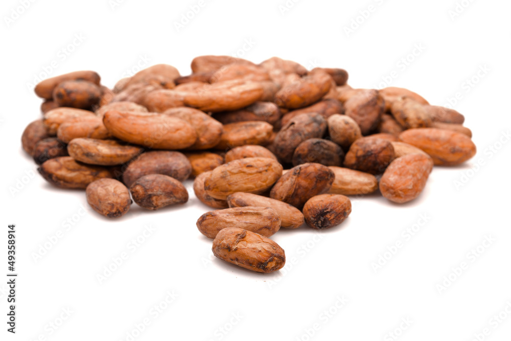 cacao beans cacao beans
