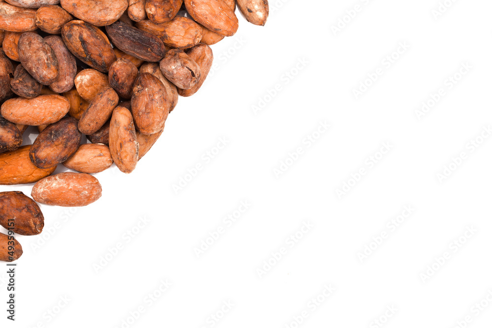 Obraz premium cacao beans