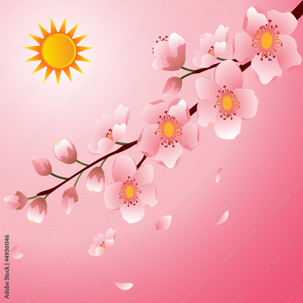 Pink Cherry Blossom with Pink Sky Background