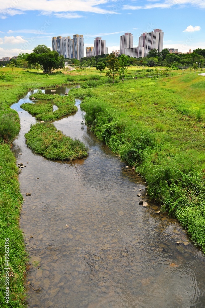 Scenic view of Bishan Park (Singapore)