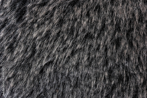 Dark fur