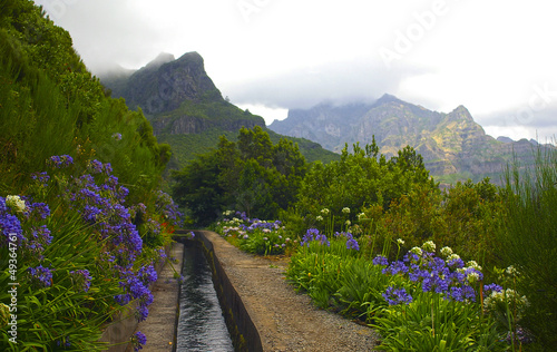 Levada of Madereira