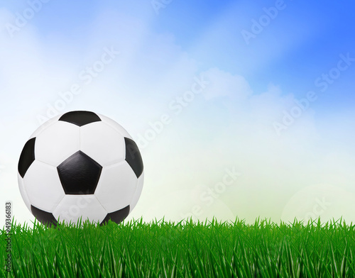 soccer football on green field with blue sky background © stockphoto mania