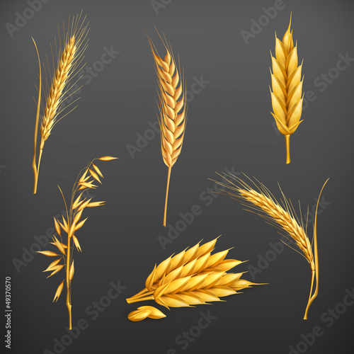 Wheat set
