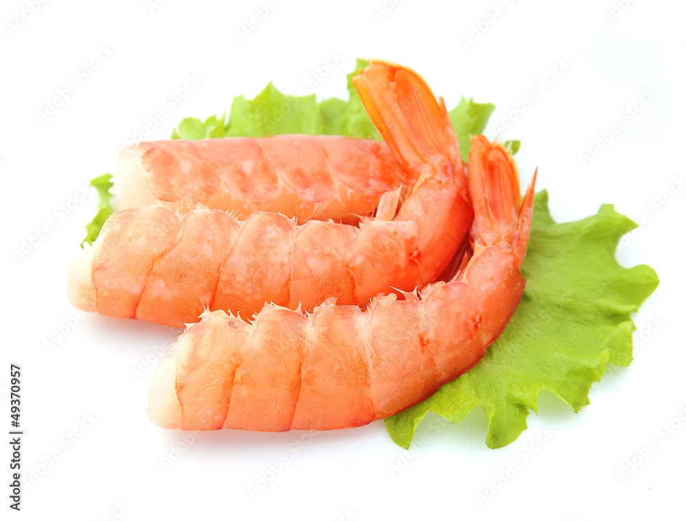 shrimps close up