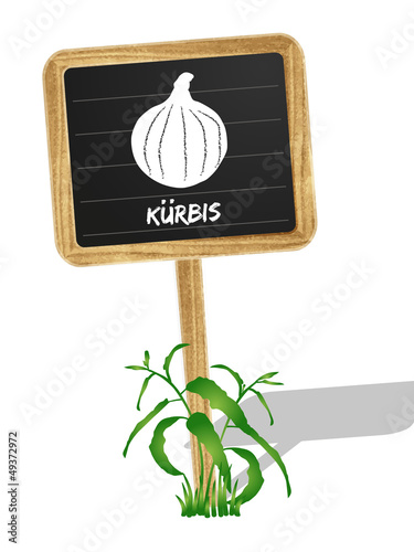 Kürbis Schildchen Vektor
