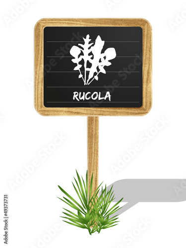 Rucola Schildchen Vektor