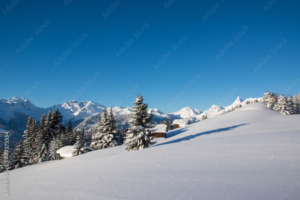 Fototapeta premium Winter in den Bergen