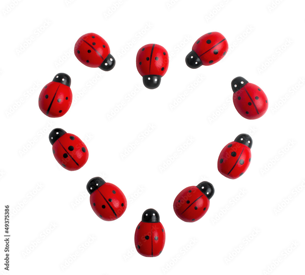 Fototapeta premium Ladybugs on white background