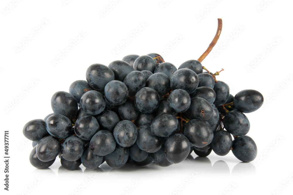 large bunch of dark grapes large bunch of dark grapes