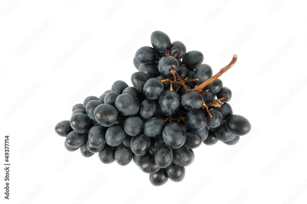 large bunch of dark grapes large bunch of dark grapes
