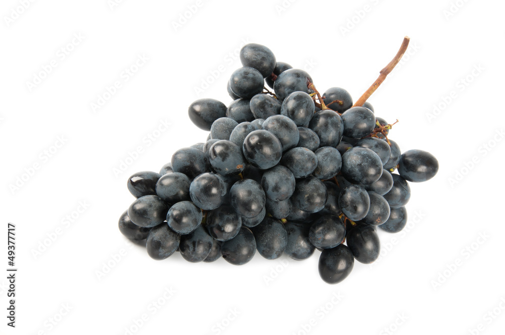large bunch of dark grapes large bunch of dark grapes