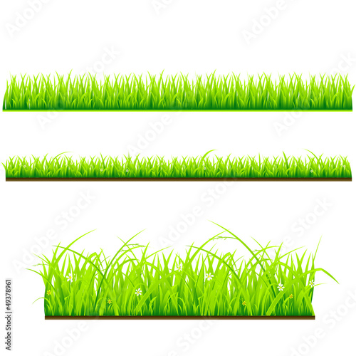 set of 3 different grass types
