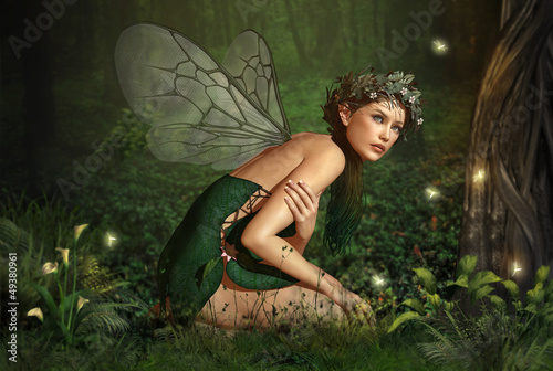 Fototapet In the Fairy Forest