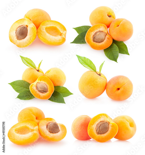 collection of apricot images