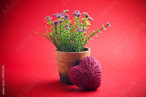 Flower in pot for Valentine's Day photo