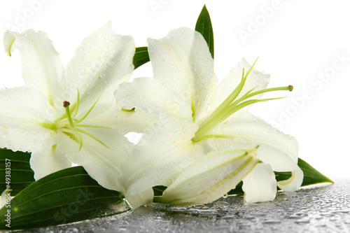 Fototapeta Naklejka Na Ścianę i Meble -  Beautiful lily, isolated on white
