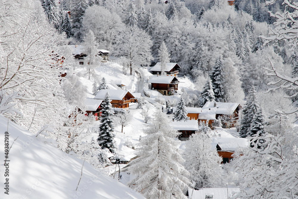 Barboleuse (Suisse)
