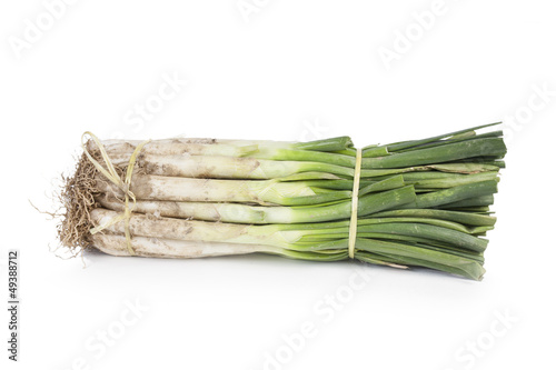 Bunch of uncooked fresh calçots photo