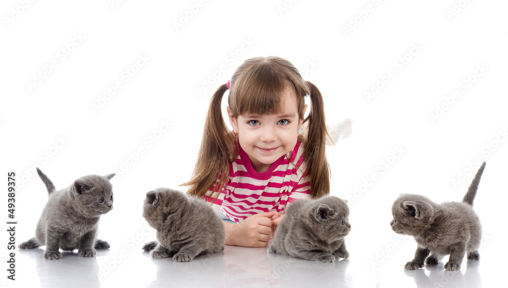 four little british kittens cat and happy girl. isolated four little british kittens cat and happy girl. isolated