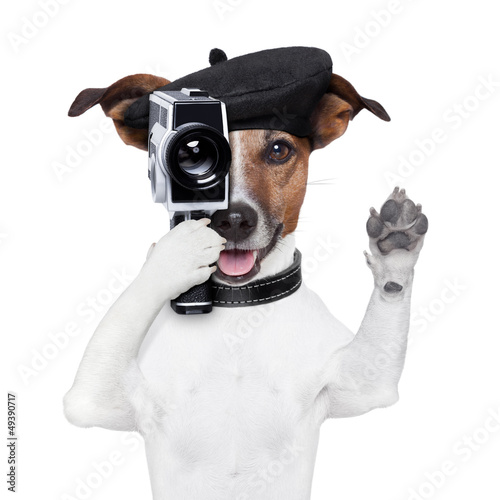 movie director dog © Javier brosch