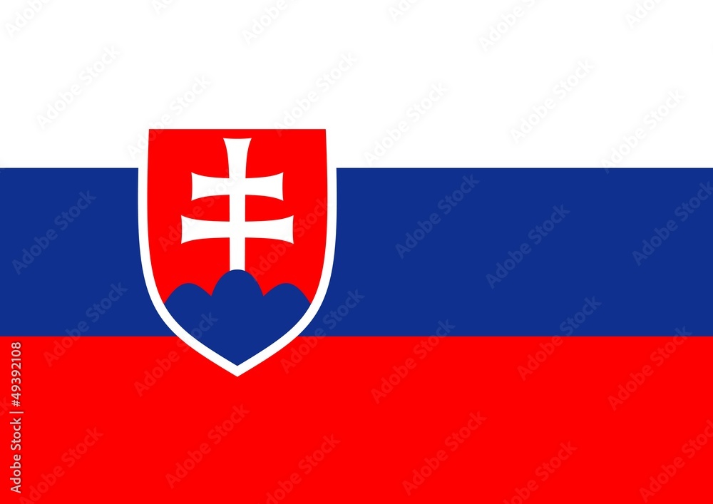 Obraz premium Slovakia Flag