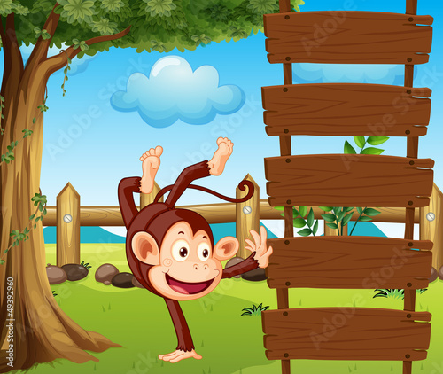 A dancing monkey