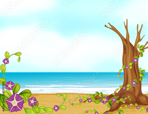 A leafless tree on a beautiful beach