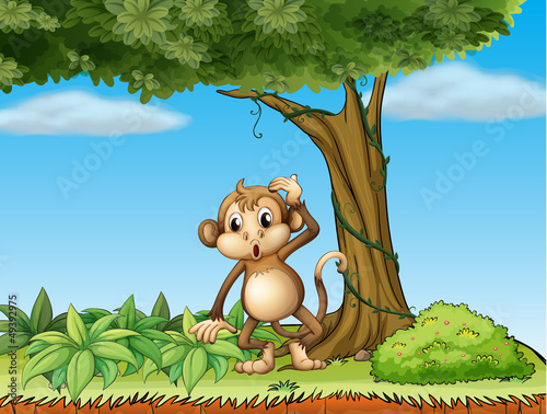 A monkey under a big tree