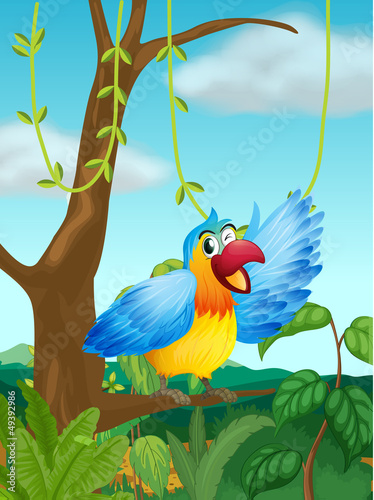 A colorful parrot in the forest