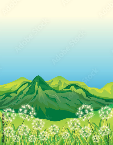 A beautiful landscape and a mountain