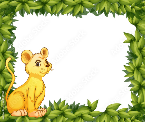 A young tiger and the leafy frame