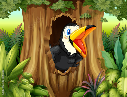 A bird in a tree hollow