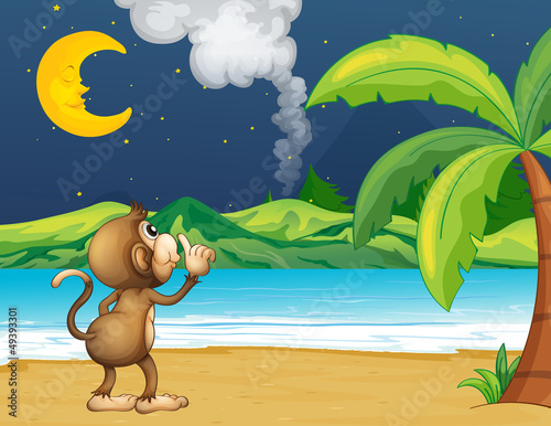 A monkey strolling in the beach
