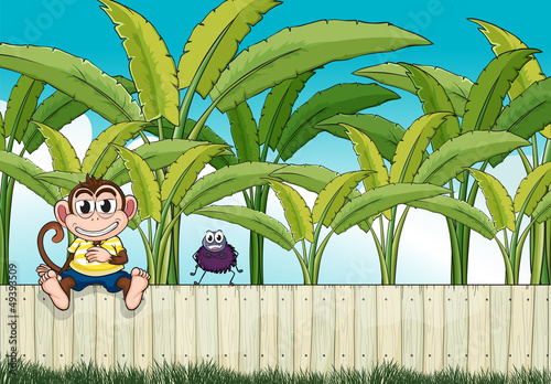 A monkey and a spider