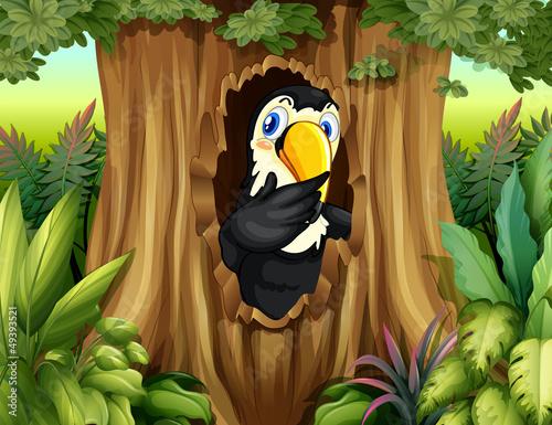 A big bird in the forest