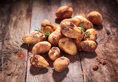 Freshly harvested farm potatoes