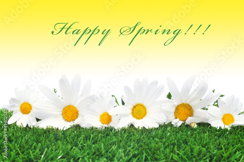 happy spring photo