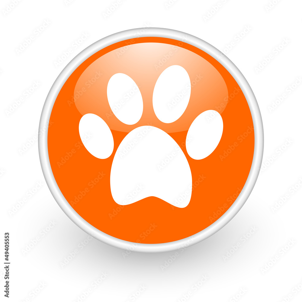 animal orange circle glossy web icon on white background animal orange circle glossy web icon on white background
