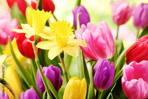 Tulips and daffodils #49406787