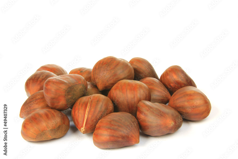 Fototapeta premium Maronen (Castanea sativa)