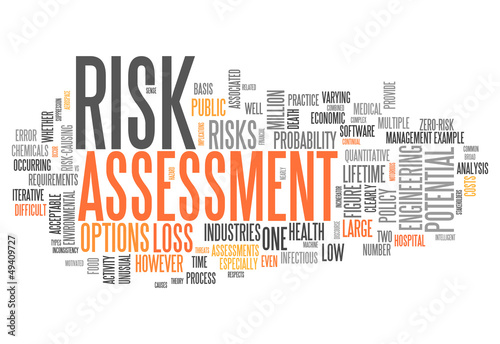 Word Cloud "Risk Assessment"