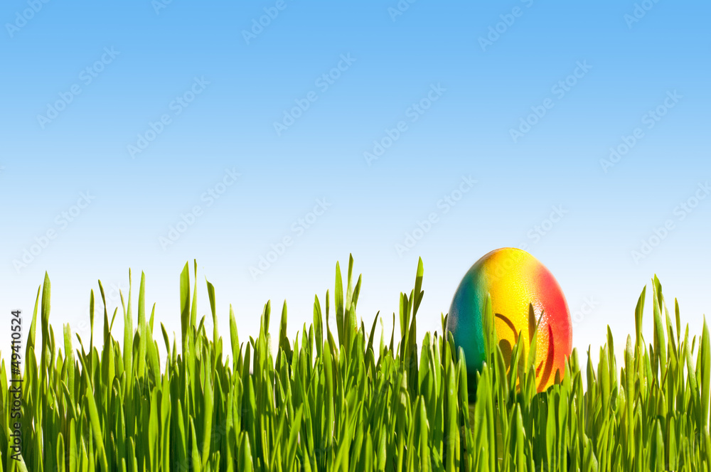 Fototapeta premium Osterei im Gras