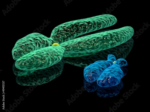 3d render illustration of X and Y chromosomes