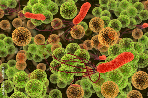 bacteria photo